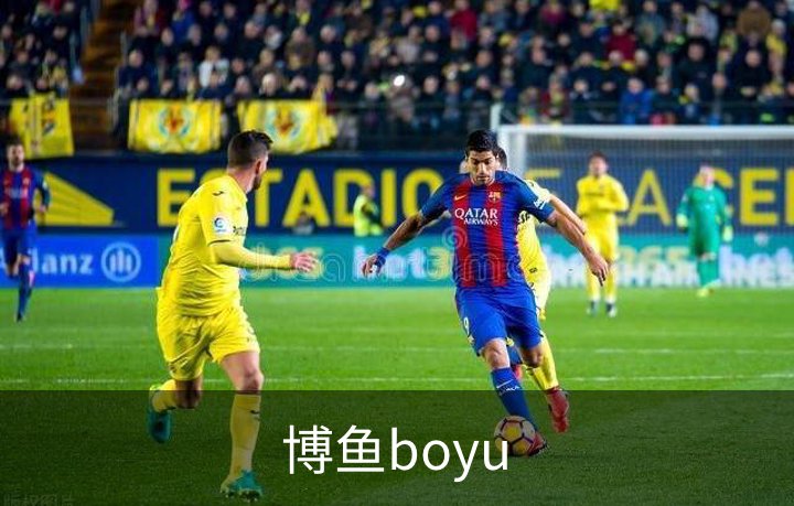 博鱼boyu简介